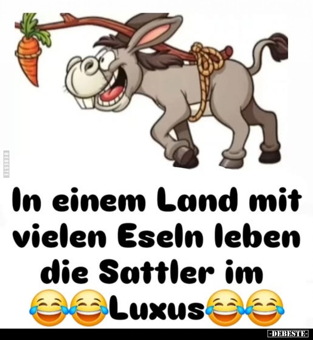 In einem Land mit vielen Eseln leben die Sattler.. - Lustige Bilder | DEBESTE.de