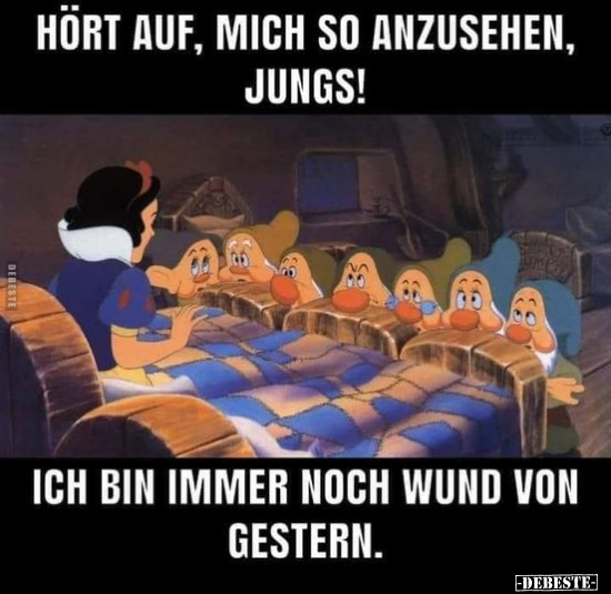 Hört auf, mich so anzusehen, Jungs!..