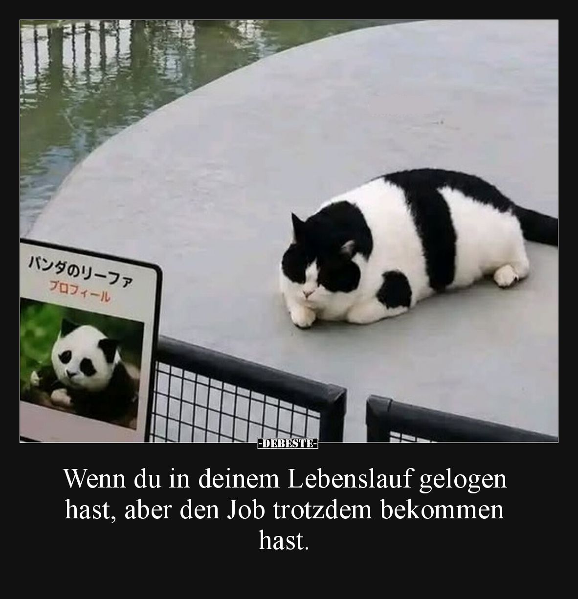 Wenn du in deinem Lebenslauf gelogen hast, aber den Job trotzdem bekommen hast.
