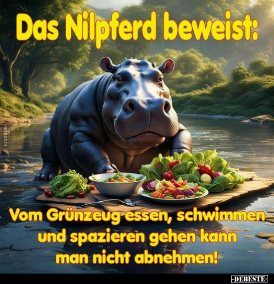 Das Nilpferd beweist.. - Lustige Bilder | DEBESTE.de