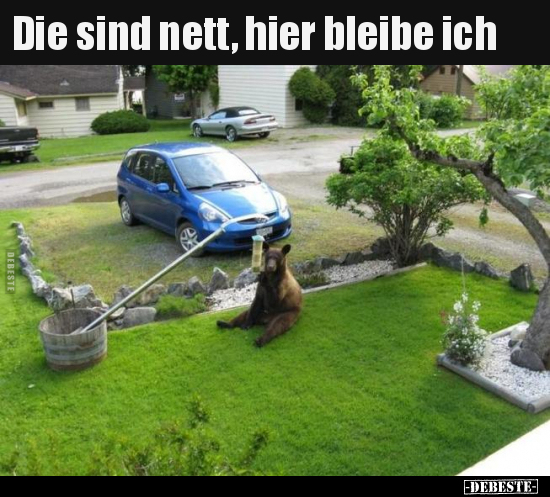 Die sind nett, hier bleibe ich..
