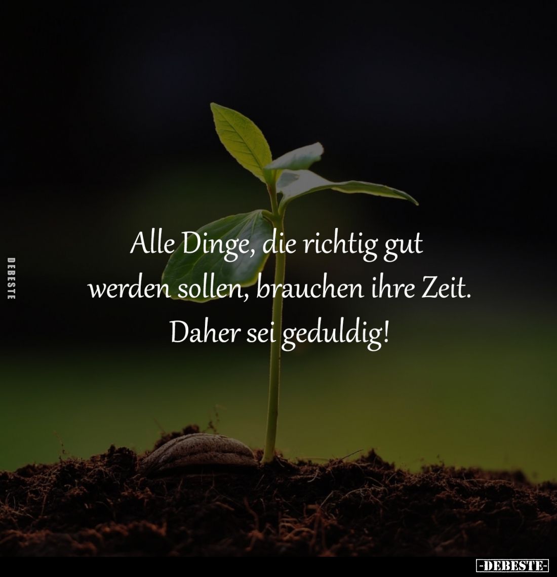 Alle Dinge, die richtig gut 
werden sollen, brauchen ihre Zeit.
Daher sei geduldig!