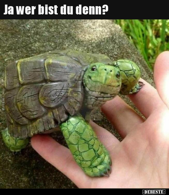 Ja wer bist du denn?..