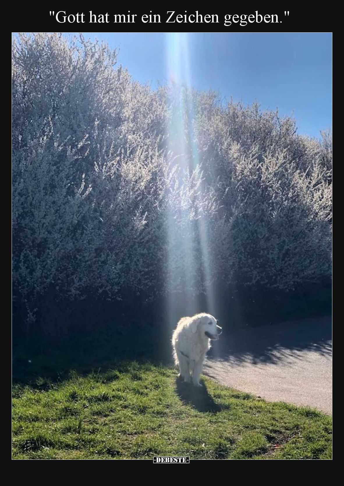 "Gott hat mir ein Zeichen gegeben.".. - Lustige Bilder | DEBESTE.de