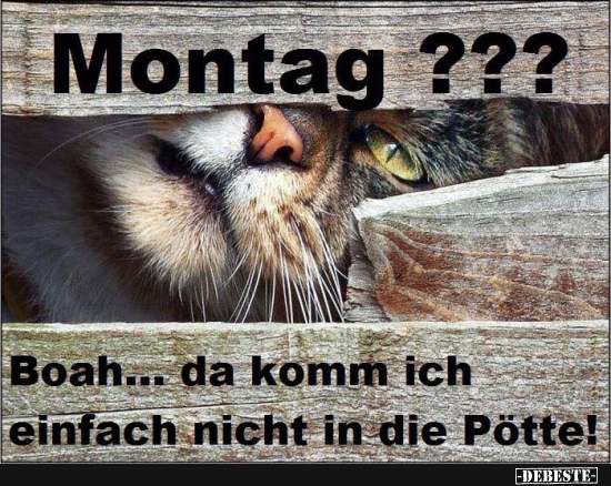 Montag? DEBESTE.de