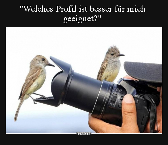 "Welches Profil ist besser für mich geeignet?".. - Lustige Bilder | DEBESTE.de