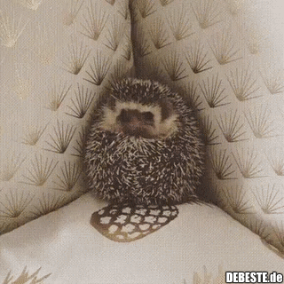 Riecht wohl lecker...