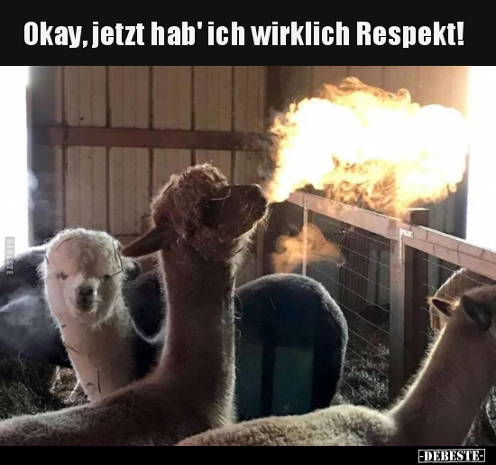 Okay, jetzt hab' ich wirklich Respekt!.. - Lustige Bilder | DEBESTE.de