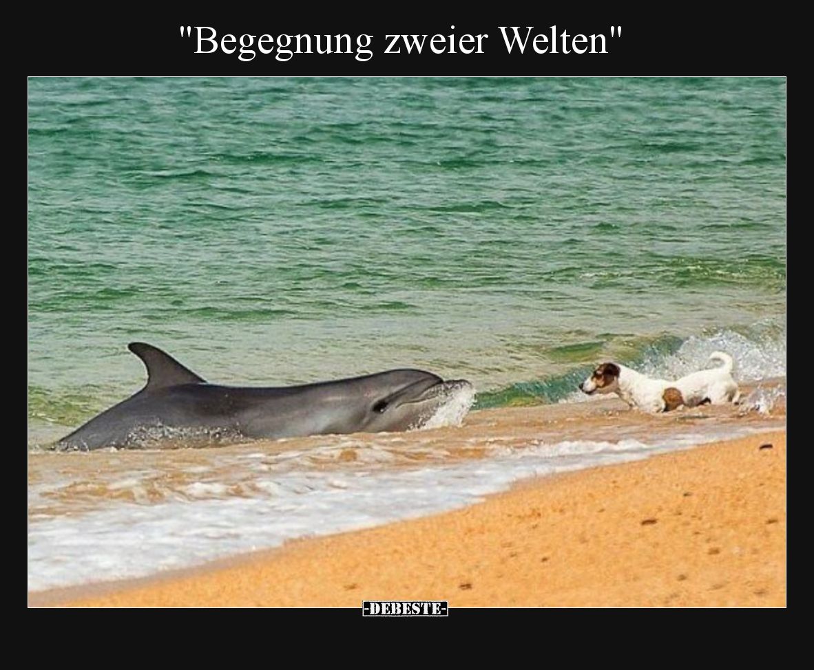 Begegnung zweier Welten
