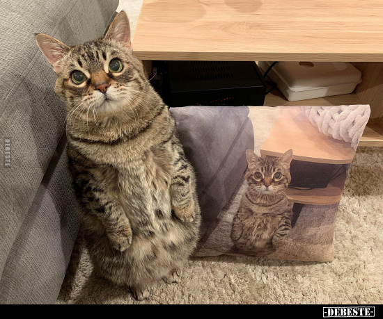  - Lustige Bilder | DEBESTE.de