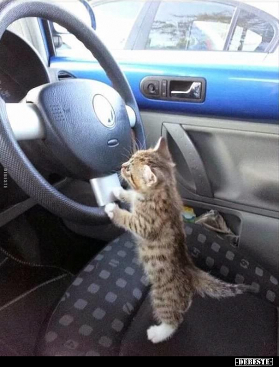  - Lustige Bilder | DEBESTE.de