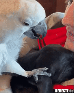 ☺ - Lustige Bilder | DEBESTE.de