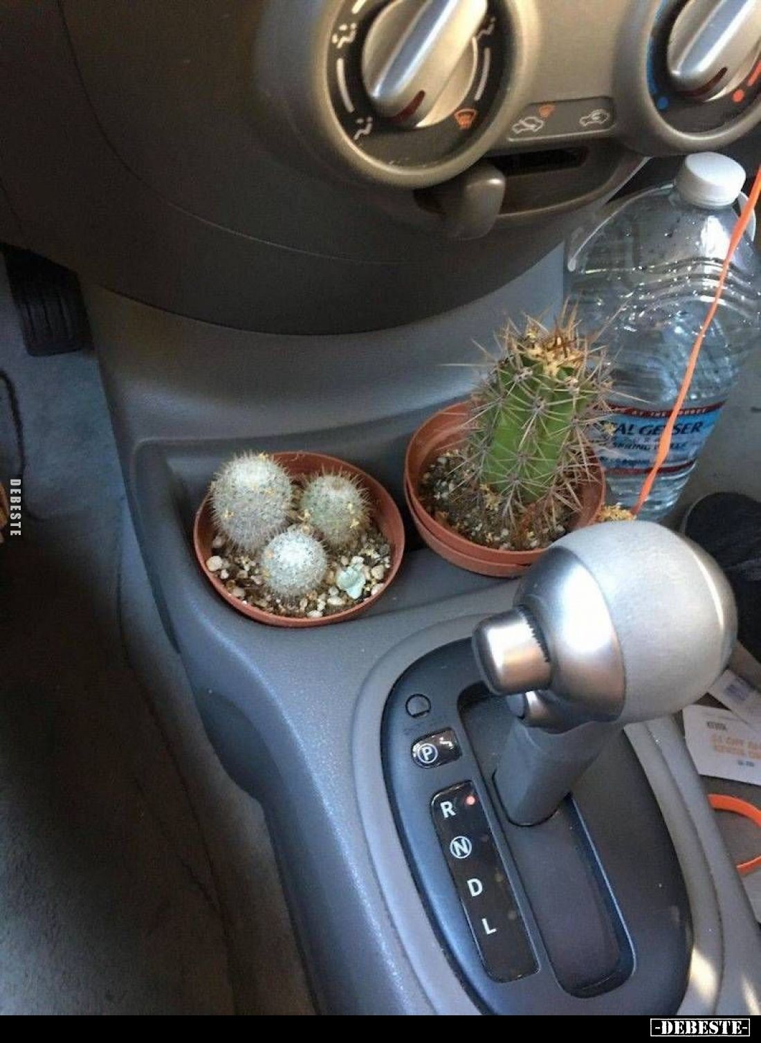  - Lustige Bilder | DEBESTE.de