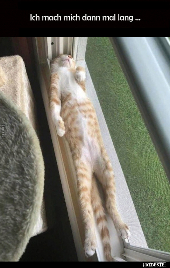 Ich mach mich dann mal lang...