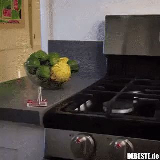  - Lustige Bilder | DEBESTE.de