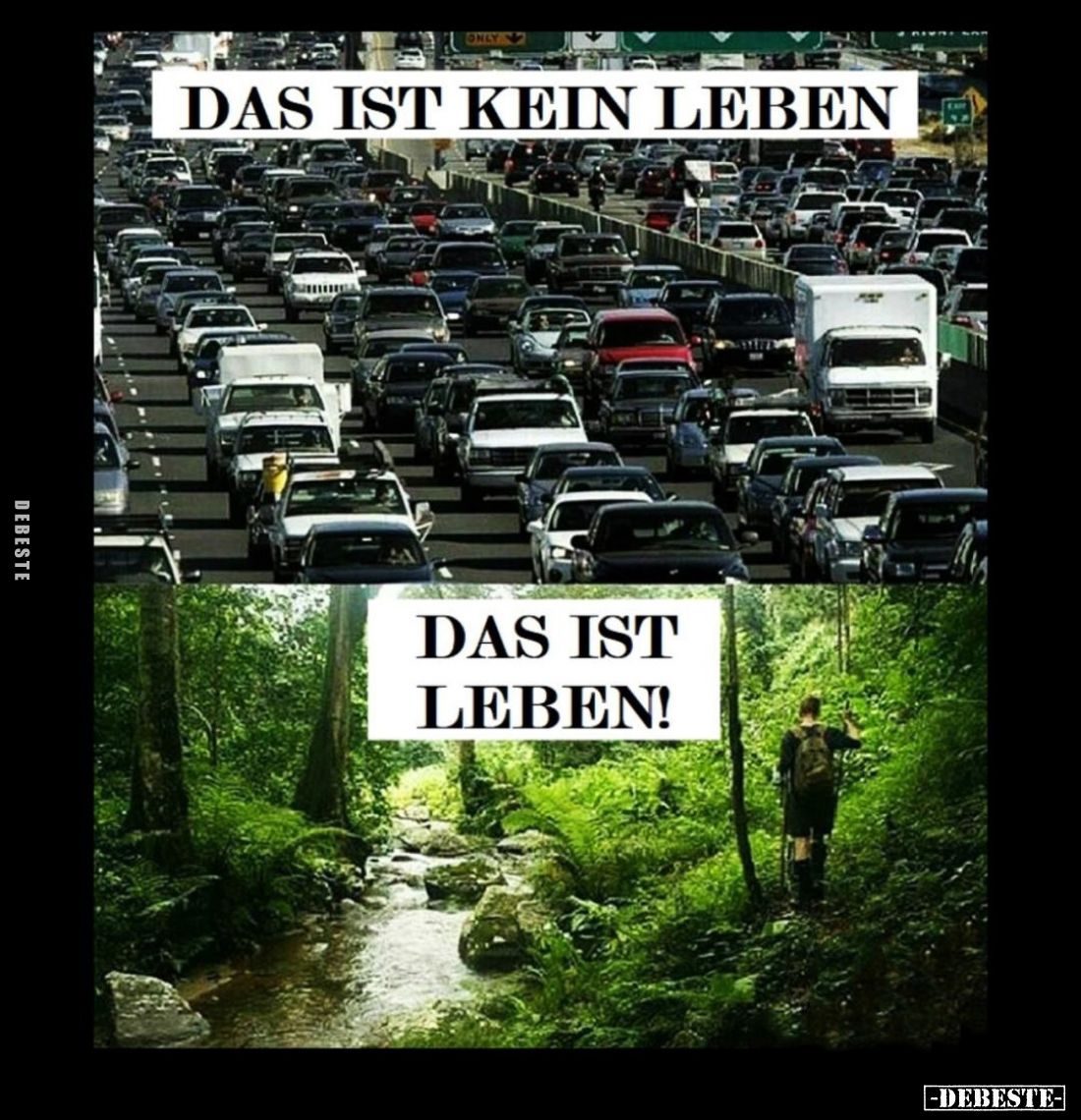 Das ist kein Leben.
- Das ist Leben!