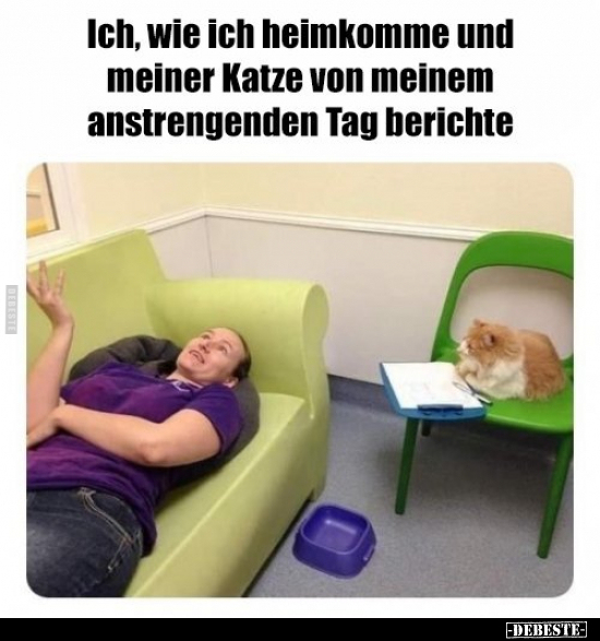 Ich, wie ich heimkomme und meiner Katze von meinem.. - Lustige Bilder | DEBESTE.de