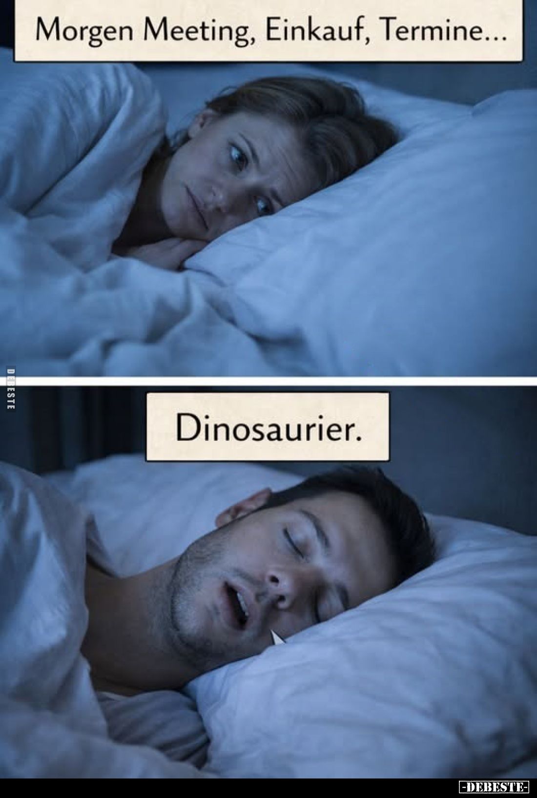 Morgen Meeting, Einkauf, Termine...
Dinosaurier.