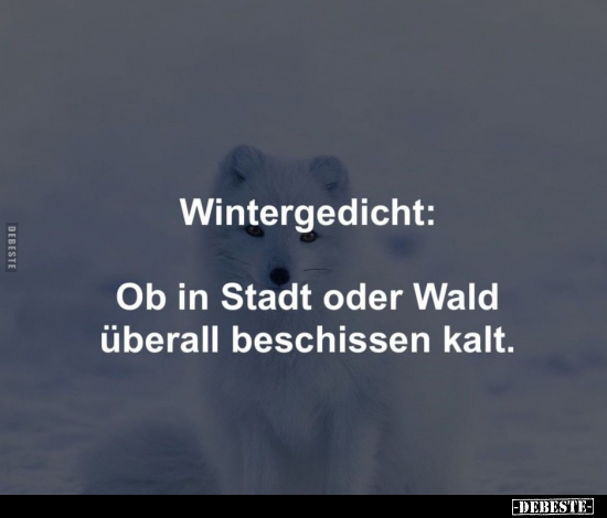 Wintergedicht: Ob in Stadt oder Wald überall beschissen.. - Lustige Bilder | DEBESTE.de