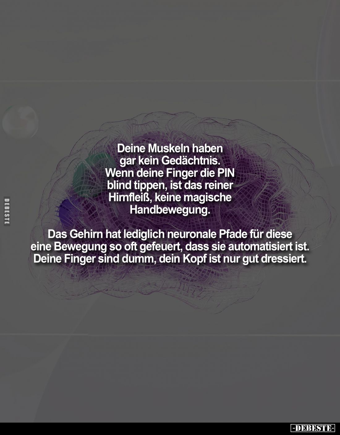 Deine Muskeln haben gar kein Gedächtnis.
Wenn deine Finger die PIN blind tippen, ist das reiner Hirnfleiß, keine magische Ha...