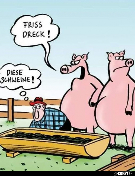 Friss Dreck! - Diese Schweine!.. - Lustige Bilder | DEBESTE.de