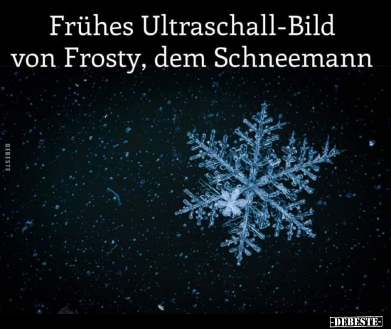 Frühes Ultraschall-Bild von Frosty, dem Schneemann.. - Lustige Bilder | DEBESTE.de
