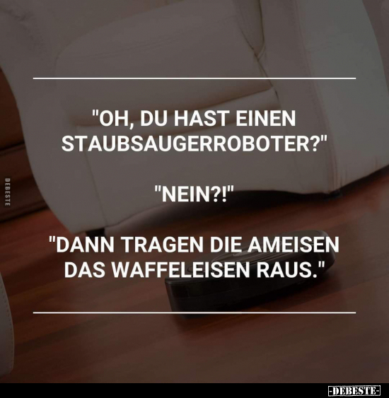 "Oh, Du hast einen Staubsaugerroboter?".. - Lustige Bilder | DEBESTE.de