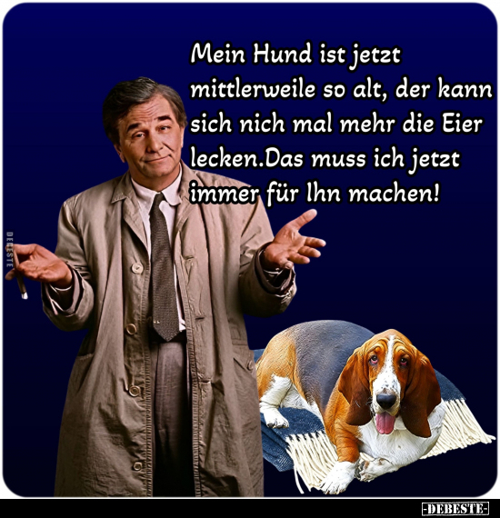 Hund, Eier, Machen