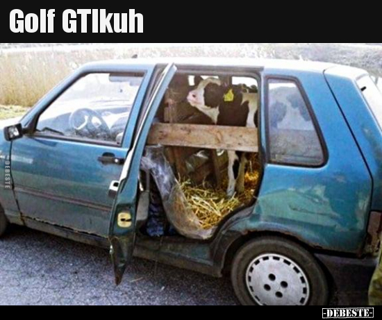 Golf GTIkuh.. - Lustige Bilder | DEBESTE.de