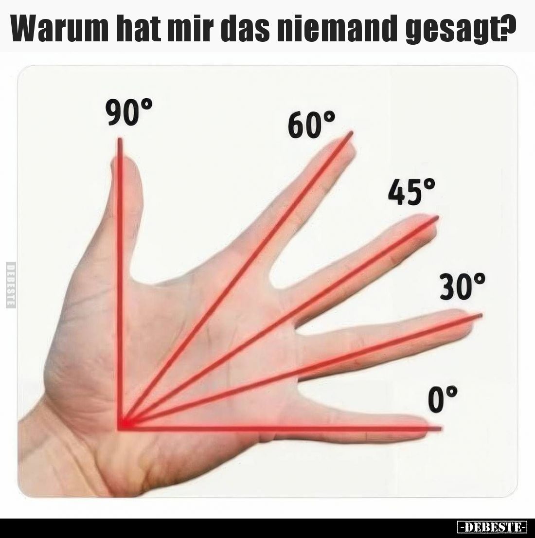 Warum hat mir das niemand gesagt?