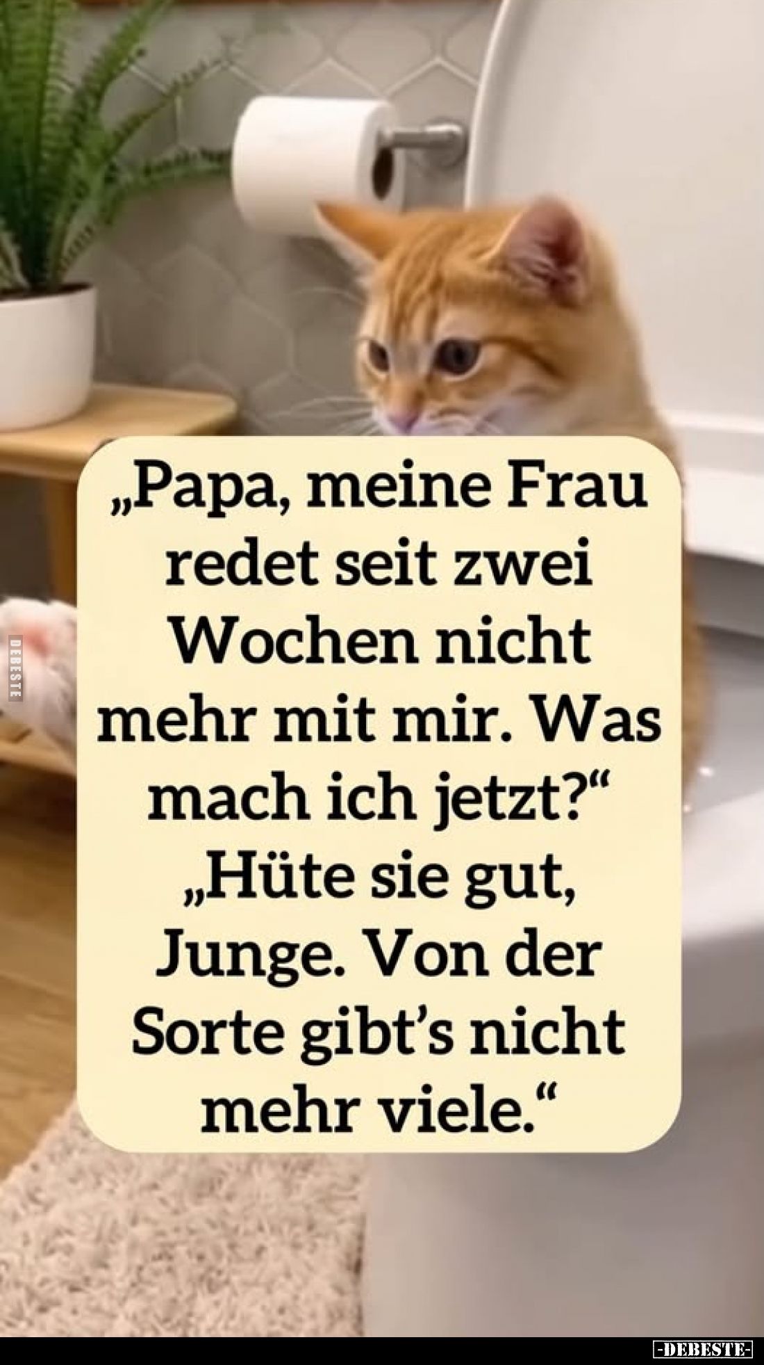 "Papa, meine Frau redet seit zwei Wochen nicht mehr mit mir. Was mach ich jetzt?" - "Hüte sie gut, Junge. Von ...