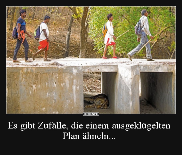 Es gibt Zufälle, die einem ausgeklügelten Plan ähneln... - Lustige Bilder | DEBESTE.de