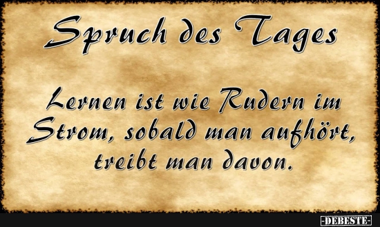  - Lustige Bilder | DEBESTE.de