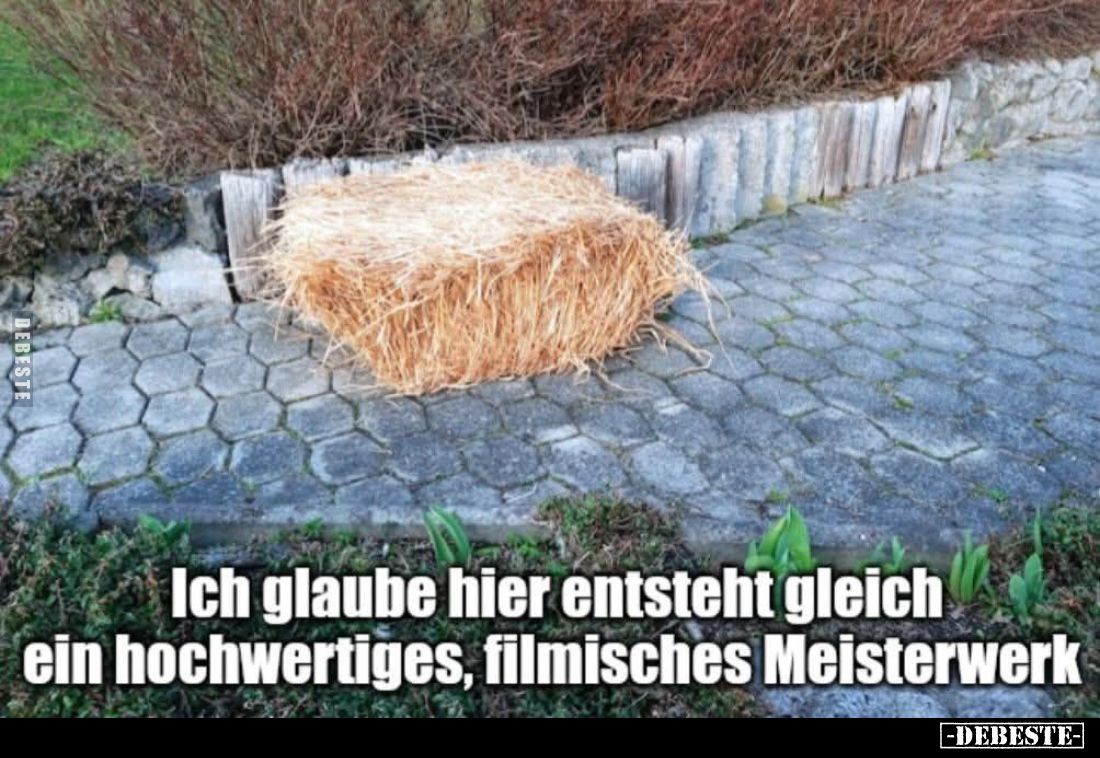 Ich glaube hier entsteht gleich ein hochwertiges, filmisches Meisterwerk.