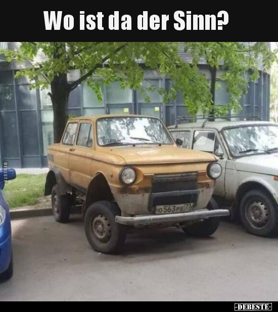 Wo ist da der Sinn?.. - Lustige Bilder | DEBESTE.de