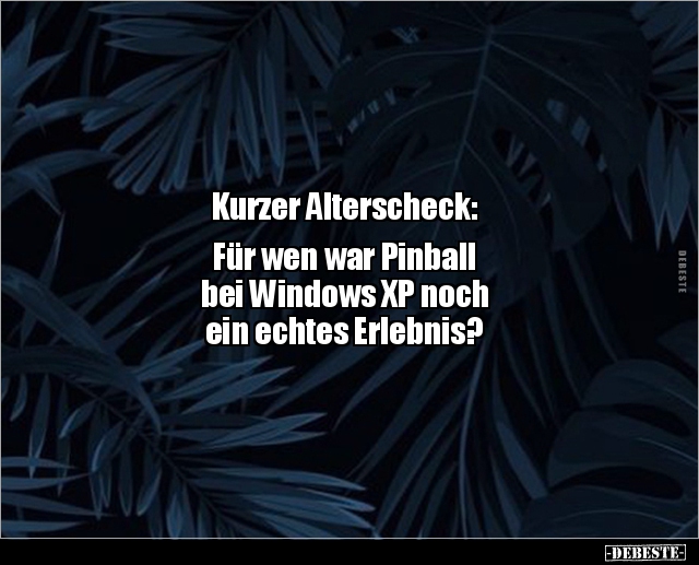 Kurzer Alterscheck: Für wen war Pinball bei Windows.. - Lustige Bilder | DEBESTE.de