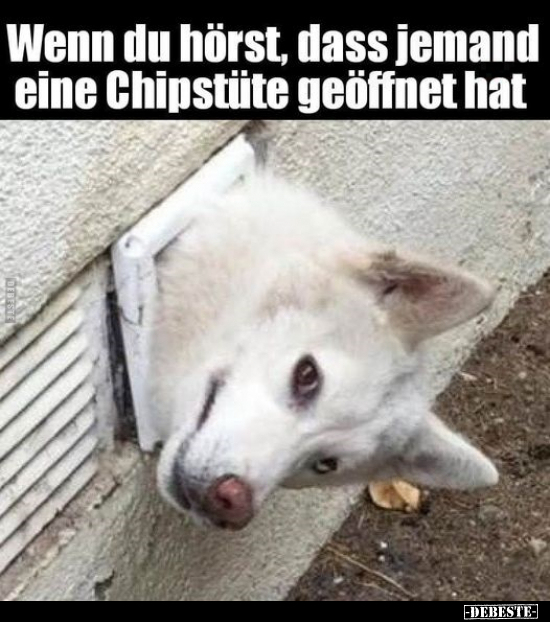 Wenn du hörst, dass jemand eine Chipstüte geöffnet hat... - Lustige Bilder | DEBESTE.de