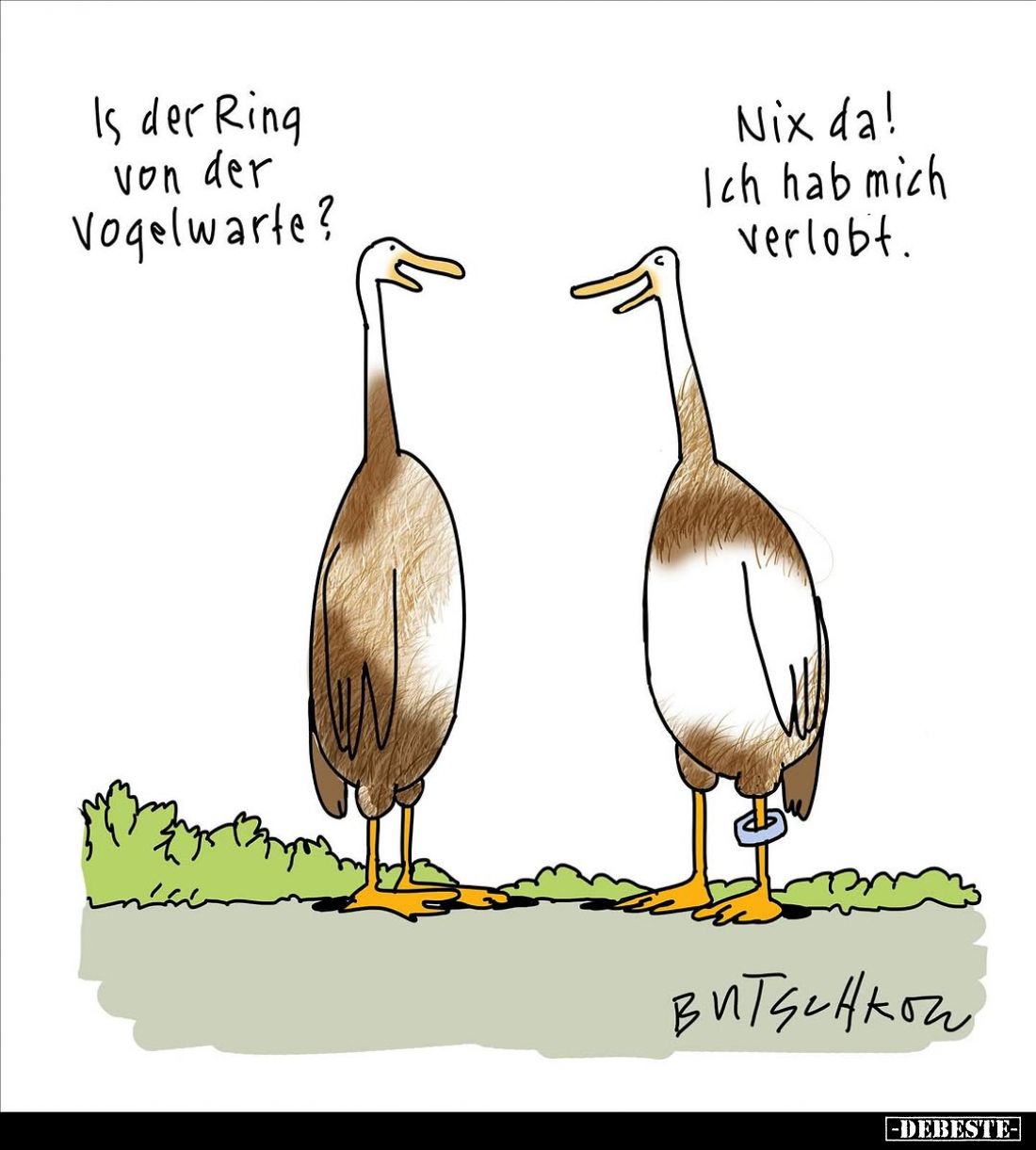 Is der Ring von der Vogelwarte? -
Nix da! Ich hab mich verlobt.