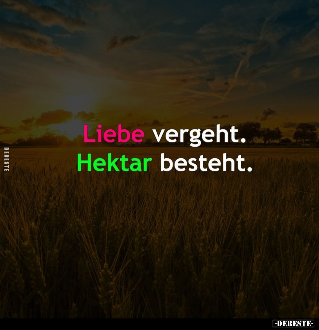 Liebe vergeht.
Hektar besteht.