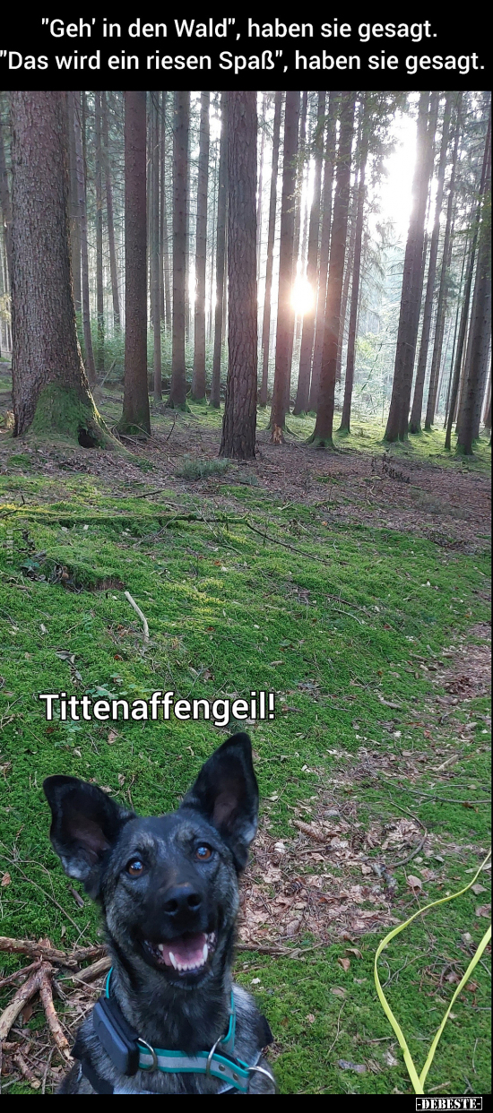 "Geh' in den Wald", haben sie gesagt.. - Lustige Bilder | DEBESTE.de