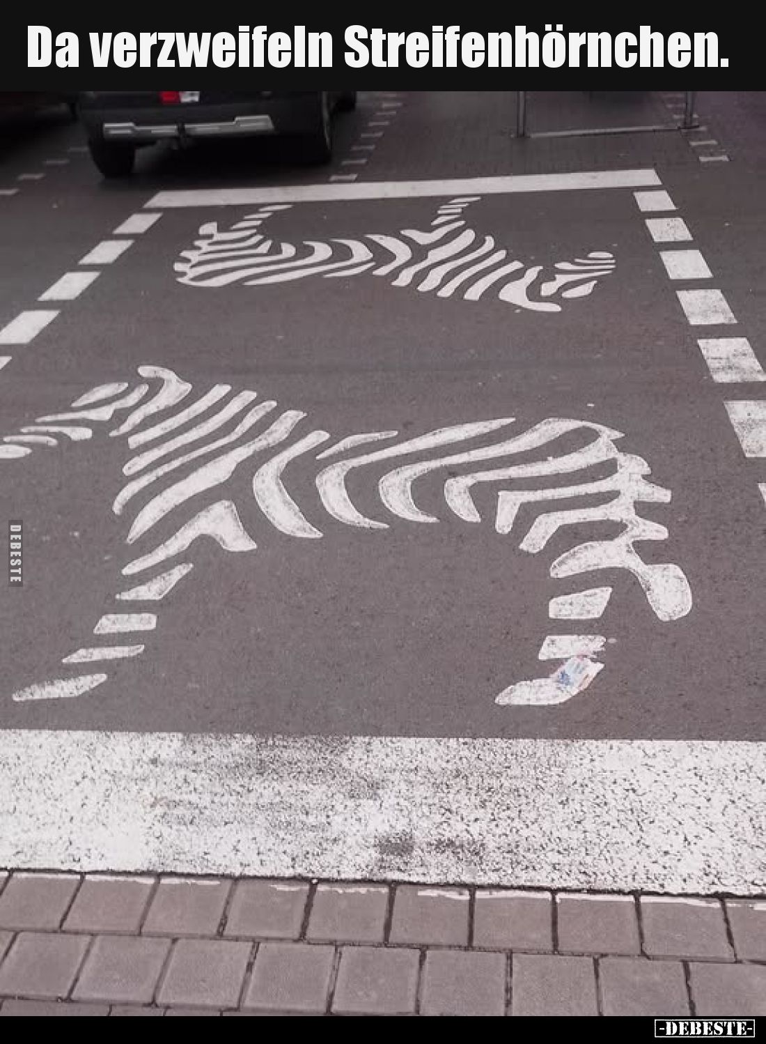 Da verzweifeln Streifenhörnchen.