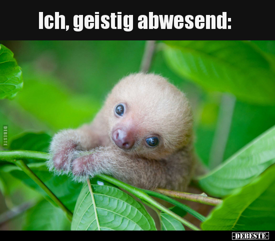 Ich, geistig abwesend..