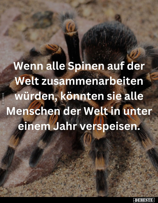 Wenn alle Spinen auf der Welt zusammenarbeiten würden.. - Lustige Bilder | DEBESTE.de