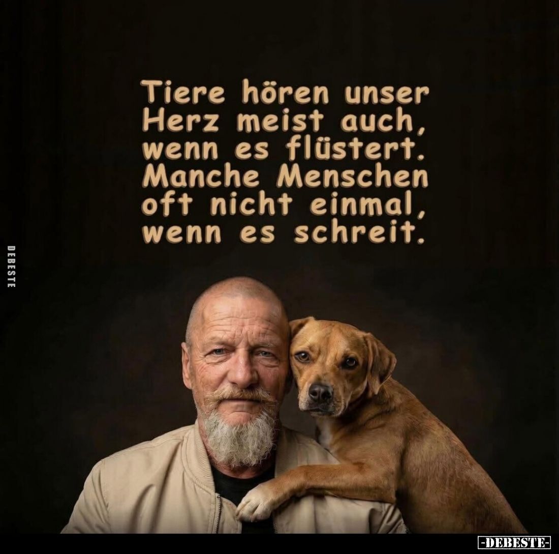 Tiere hören unser Herz meist auch, wenn es flüstert.
Manche Menschen oft nicht einmal, wenn es schreit.