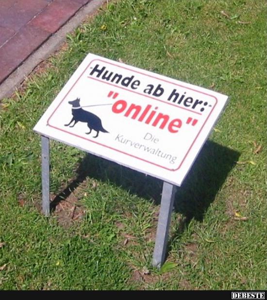Hunde ab hier: 'online'.. - Lustige Bilder | DEBESTE.de
