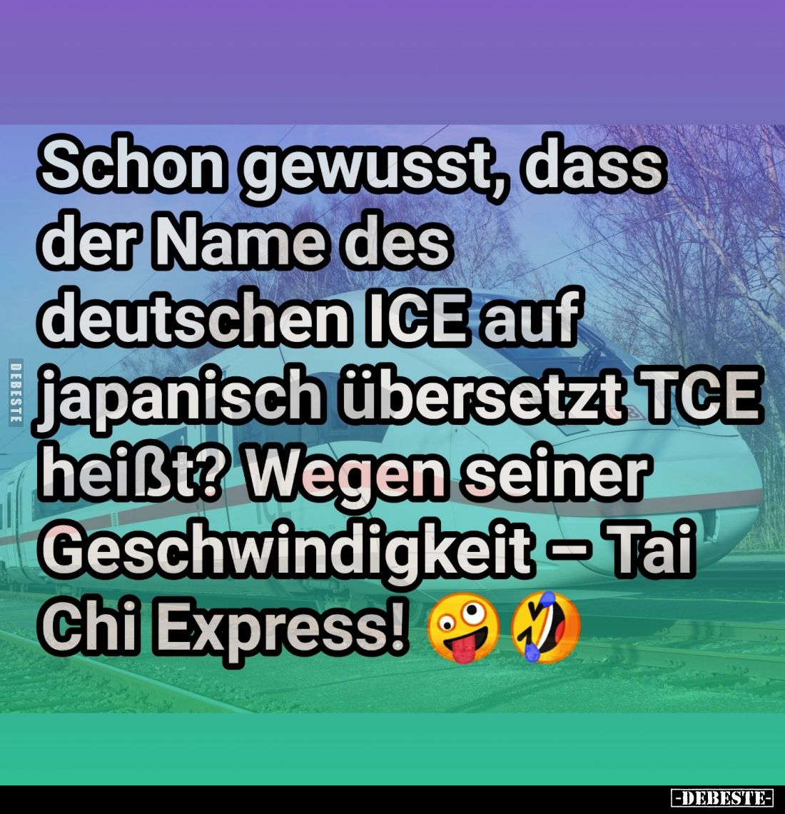 Schon gewusst, dass der Name des deutschen ICE auf japanisch übersetzt TCE heißt? Wegen seiner Geschwindigkeit - Tai Chi Expr...