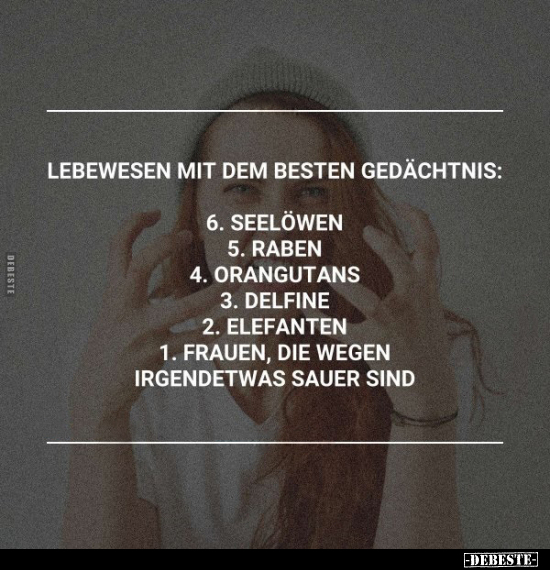 Gedächtnis, Seelöwen, Raben, Elefanten, Frauen