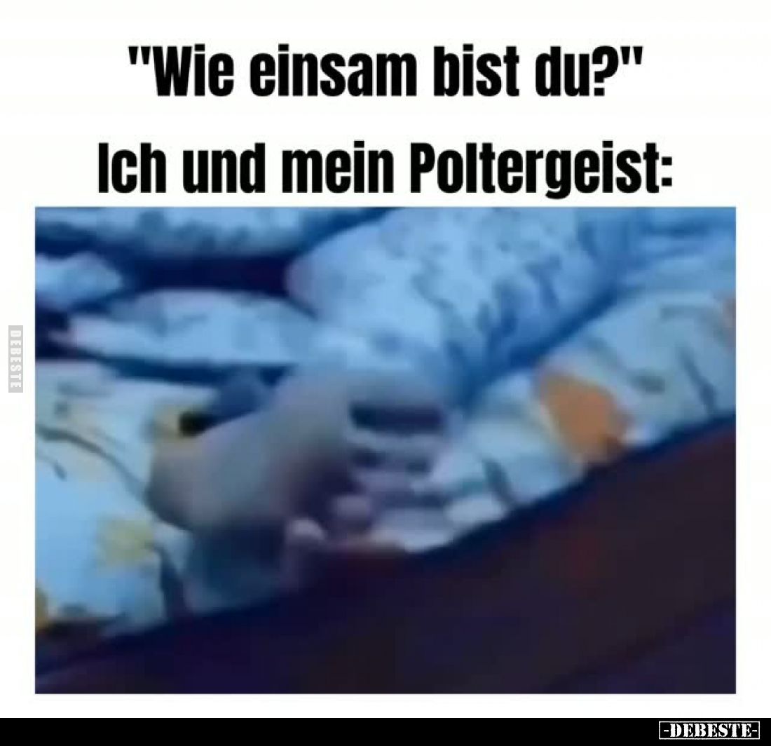 "Wie einsam bist du?" -
Ich und mein Poltergeist: