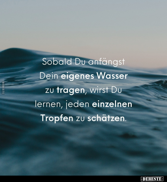 Sobald Du anfängst Dein eigenes Wasser zu tragen.. - Lustige Bilder | DEBESTE.de