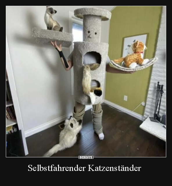Selbstfahrender Katzenständer.. - Lustige Bilder | DEBESTE.de